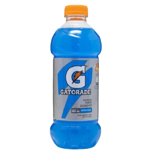 Bebida Hidrantante Gatorade Blue Berry 600ml