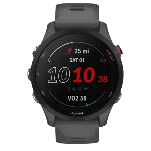 SmartWatch Garmin Forerunner 255 46mm Gris 010-02641-00