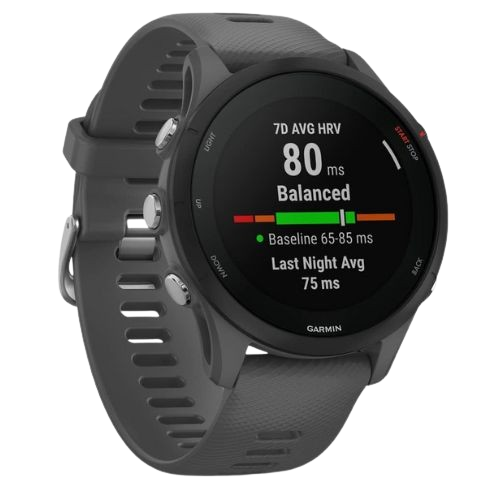 SmartWatch Garmin Forerunner 255 46mm Gris 010-02641-00