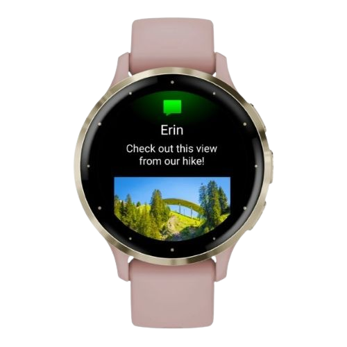 SmartWatch Garmin Venu 3S 41mm Rosa/Dorado 010-02785-03