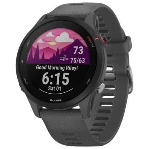 SmartWatch Garmin Forerunner 255 46mm Gris 010-02641-00